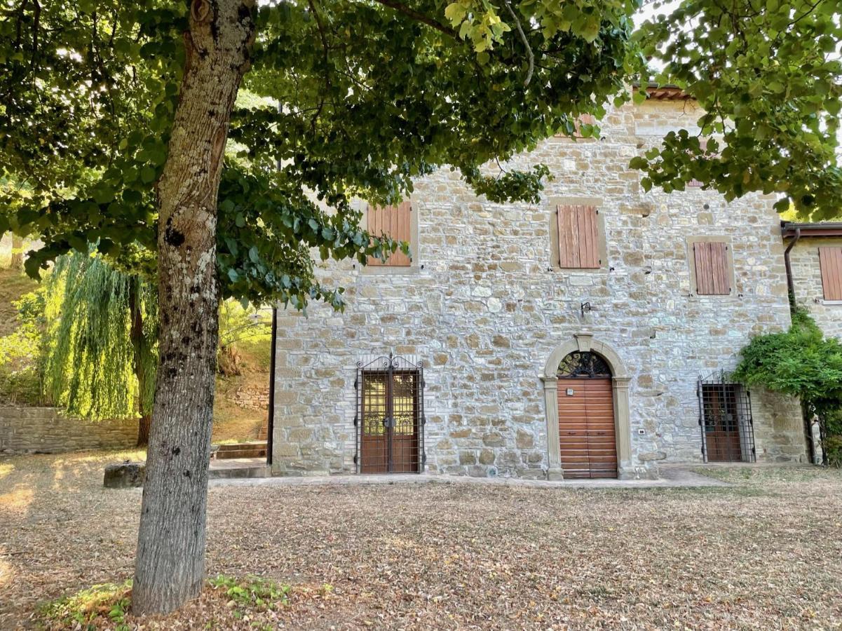 Sambuco Di Sopra Apartment Fratticciola Selvatica Exterior photo